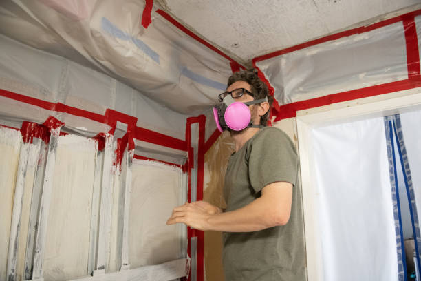 Best Mold Remediation for Healthcare Facilities  in Tillmans Corner, AL