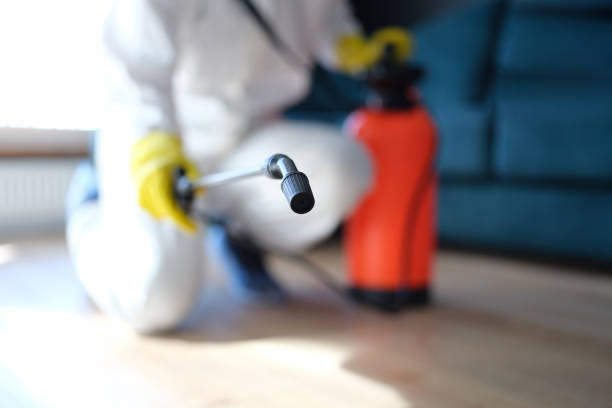Best Biohazard Mold Removal  in Tillmans Corner, AL