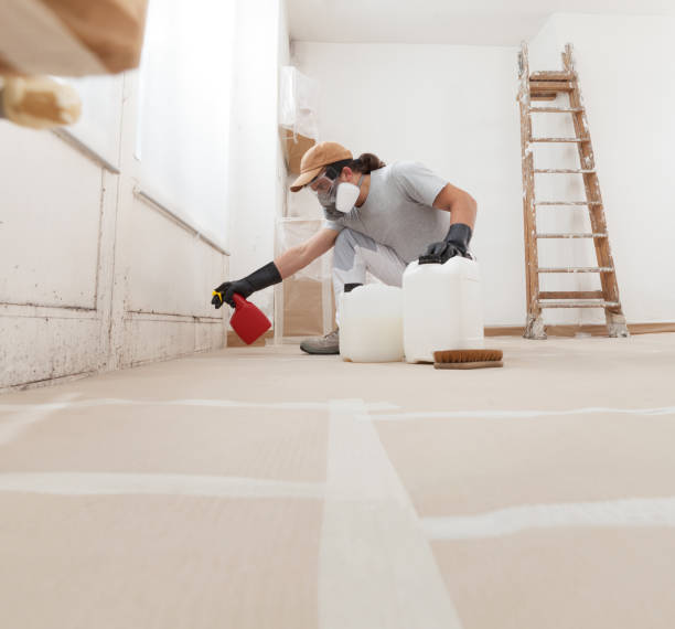 Mold Removal for HVAC Installations in Tillmans Corner, AL